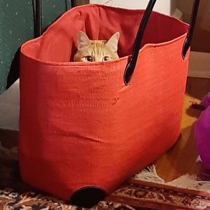 Meet your Posher, Ann